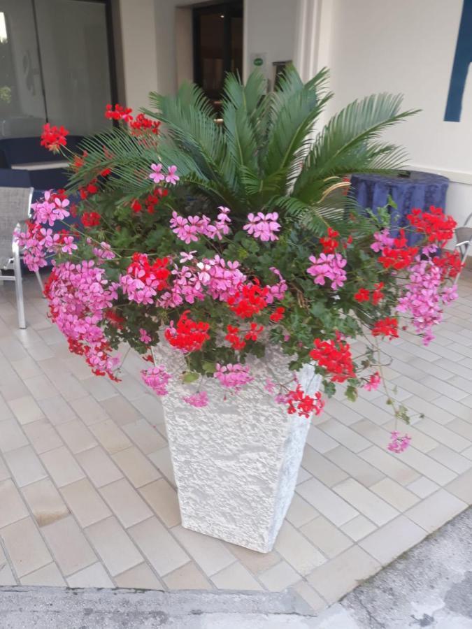 Hotel Serenella Lido di Jesolo Bagian luar foto
